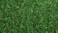 Moss Green Pigmented Quartz for Polymer Balconies